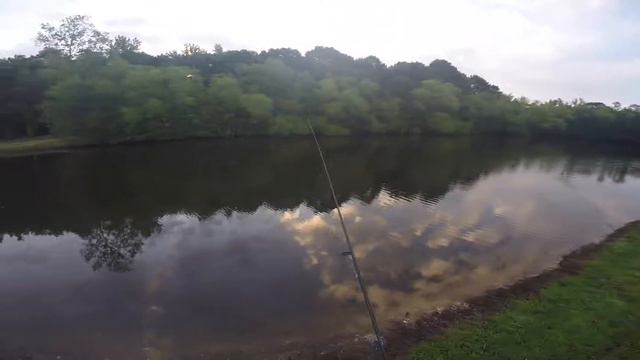 Bass fishing slightly legal ponds смотреть онлайн