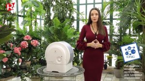 Обзор мойки воздуха ALBA Luxe от ROYAL Clima