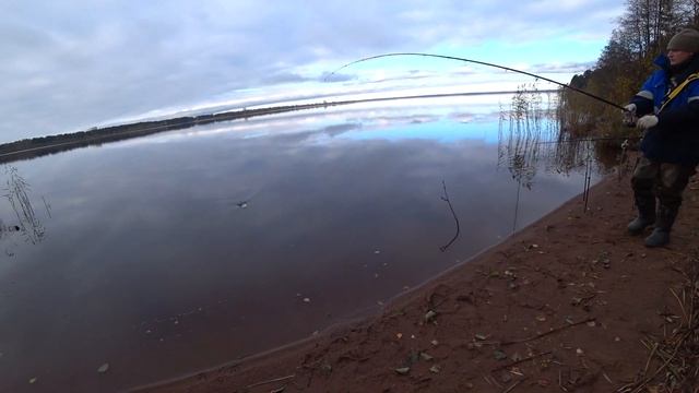 Почему здесь всегда ловится рыба | Накормили голодных местных... смотреть онлайн