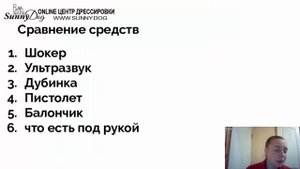Защита от чужих собак в случае угрозы нападения