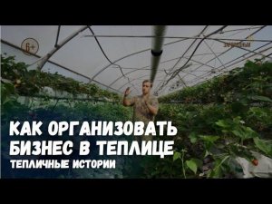 Как организовать бизнес в теплице / Тепличные истории / Выпуск 9