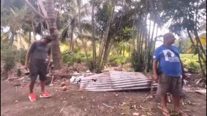 Descubrí un Edén en la tierra: Terreno con plantaciones exóticas