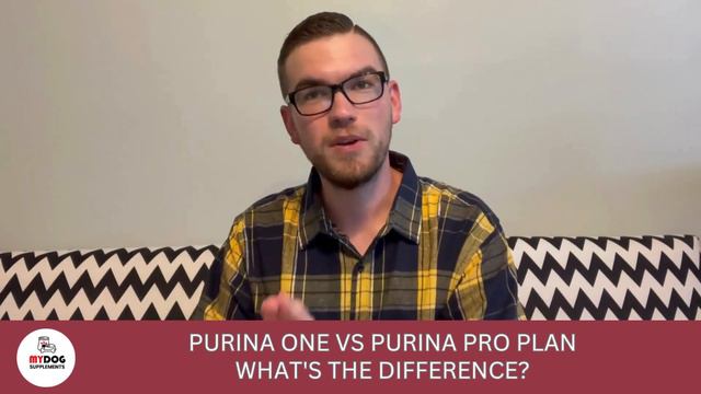 Purina ONE vs Purina Pro Plan: What's the Difference? | Expert Comparison смотреть онлайн