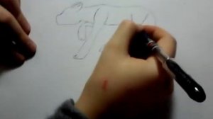 Как нарисовать кота