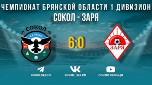 Сокол (Сельцо) - Заря (Стародуб) 24.8.24 обзор матча