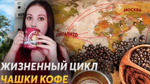 Интересные факты о КОФЕ | DeeaFilm