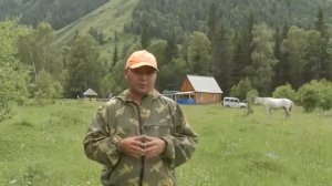 Катон карагай