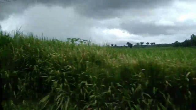 Jarumã - 1043 / Marcopolo Ideale 770 - Volvo B270F / 2013 смотреть онлайн