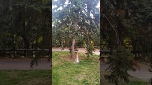 Санаторий МЕЧТА.Крым.Евпатория.Горького 40.
