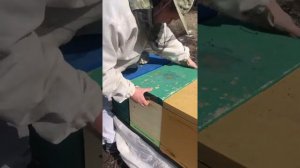 Как перезимовали пчёлы 🐝 в улье на шесть рамок ппс Пеноулик