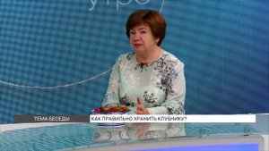 Как правильно хранить и перевозить клубнику?