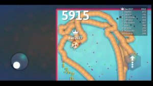 Змейки мы набили рекорд