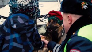 Гимн ГИБДД ИННА ЛАЙФ сл. муз. Инна Карабанова