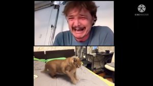 шлепа лопнул шарик:(