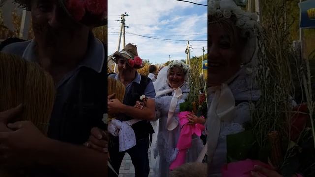 Традиции гагаузской свадьбы смотреть онлайн