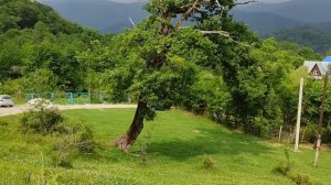 10сот. Сочи, Илларионовка. Душевный, с дубом.