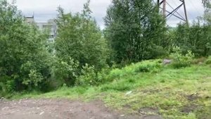 Мурманск поехали летом