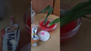 Мильтония погибает есть ли шанс спасти.