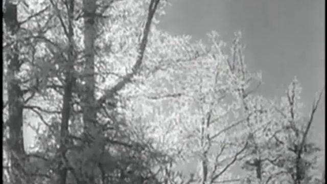 Voland - Leningrad смотреть онлайн