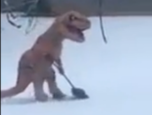 Тираннозавр убирает снег