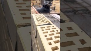 Кладка Облицовочного кирпича под шнур