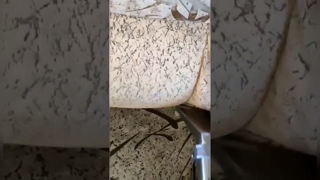 Эффектная чистка кресла из флока смотреть онлайн
