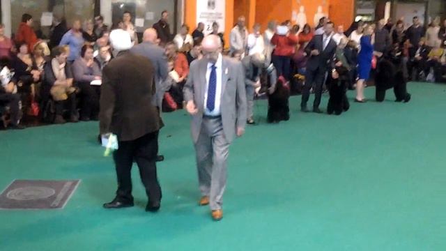 Крафт 2014 Макси смотреть онлайн