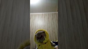 знакомства