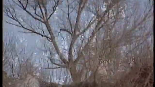 Viaggio in Sicilia - Corleone смотреть онлайн