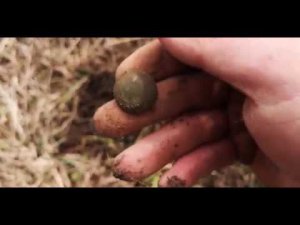 Коп какой он есть от первого лица в Твери