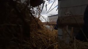 Мини шалаш из сена