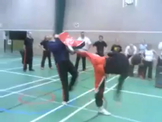 Самый мощный удар ногой в мире смотреть онлайн