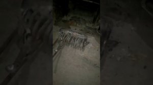 Схема чупаратора от подппиисччика вода горит