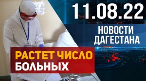 Новости Дагестана за 11.08.2022 год