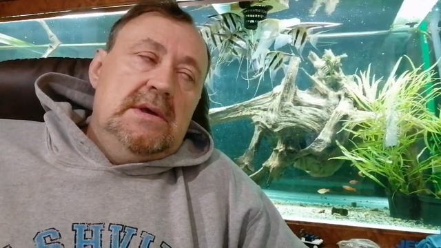 Хлорамин Т настоящий! смотреть онлайн