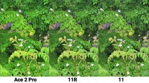 OnePlus Ace 2 Pro vs OnePlus 11R vs OnePlus 11 Camera Test Comparison