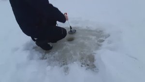 О рыбалке! Сколько ездили, сколько ловили!