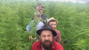 гр.  "Добраночь" - Нормальные Герои всегда идут в обход!