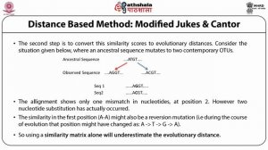 Molecular Phylogeny