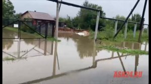 Новобурейский: большая вода