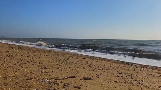 Отдохни 15 минут. Успокаивающий шум Желтого моря. Звуки набегающей волны. Крики чаек. Шум прибоя