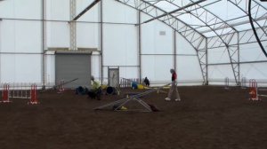 Diego Agility, MidAtlantic MADness Spring 2014, P2 Standard, NQ