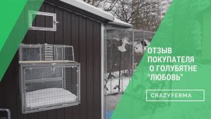 Вся правда о зимовке в голубятне от опытного заводчика-птицевода!Самые красивые голуби!