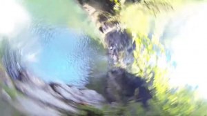 Самшитовый водопад Сочи