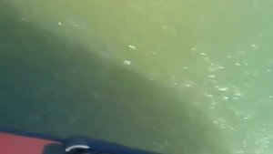 quicksilver 430 heavy duty