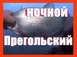 отчетная ночная прегольская