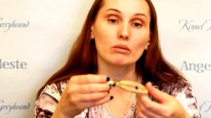 "Подготовка к выставке собак. Часть 1. Ринговки"