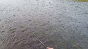 Рыбалка на Вологодского Хариуса
