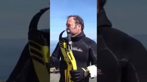 Tusa zoom3, mares quattro and  aqualung slingshot fin comparison