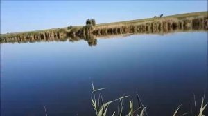 3 спецдобавки в манку на карася.Всепогодная насадка.